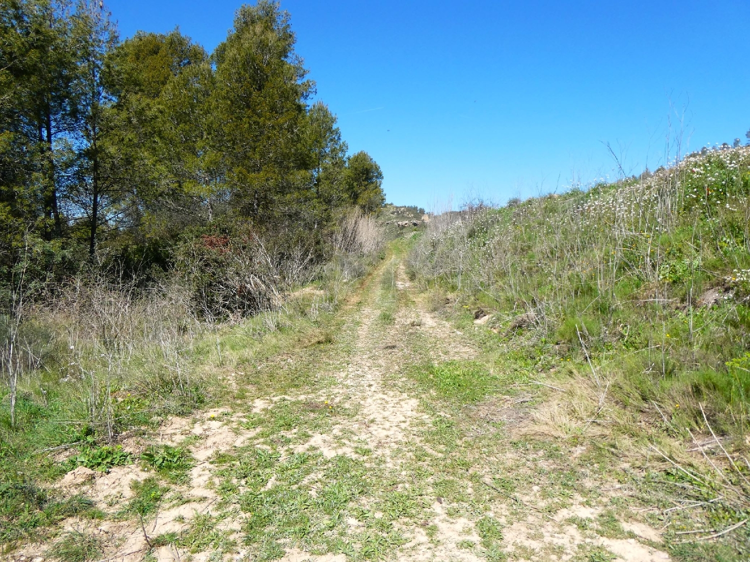  à vendre maison de campagne Caseres Terra Alta 11