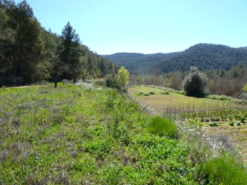 Caseres Terra Alta Landhaus Bild 6271161