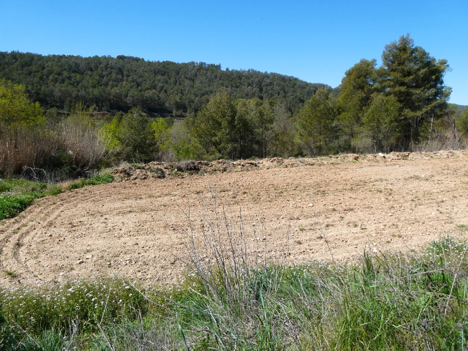  à vendre maison de campagne Caseres Terra Alta 9