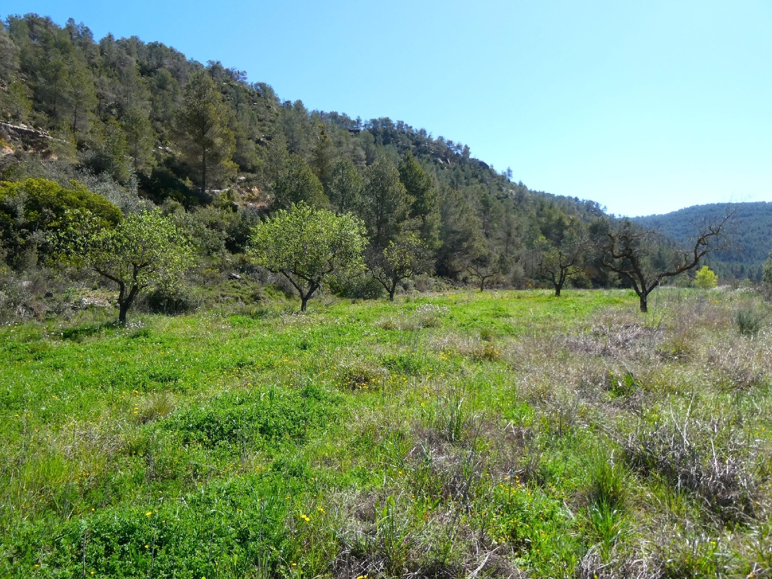  à vendre maison de campagne Caseres Terra Alta 10