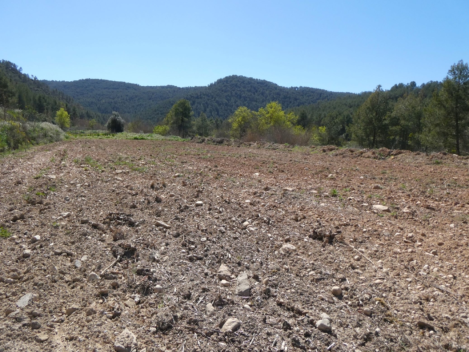  à vendre maison de campagne Caseres Terra Alta 4