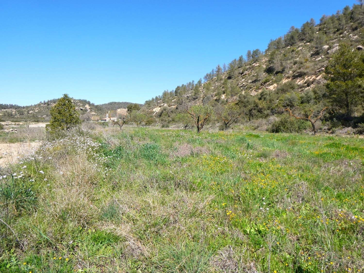  à vendre maison de campagne Caseres Terra Alta 8