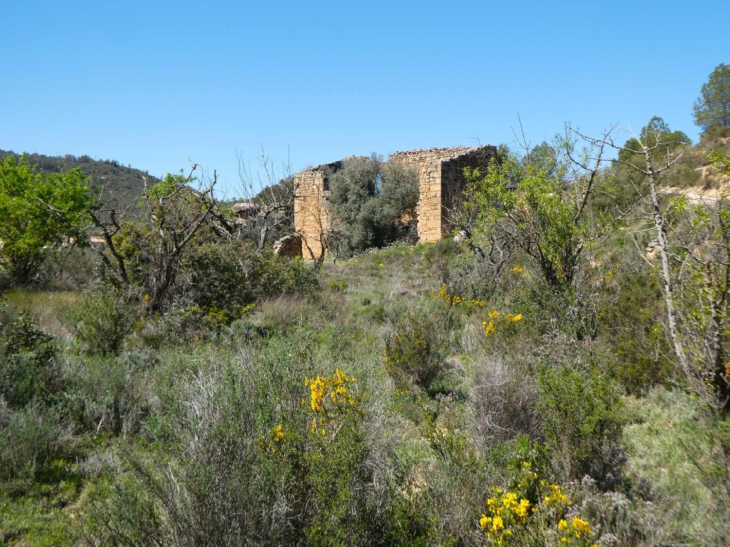  à vendre maison de campagne Caseres Terra Alta 11