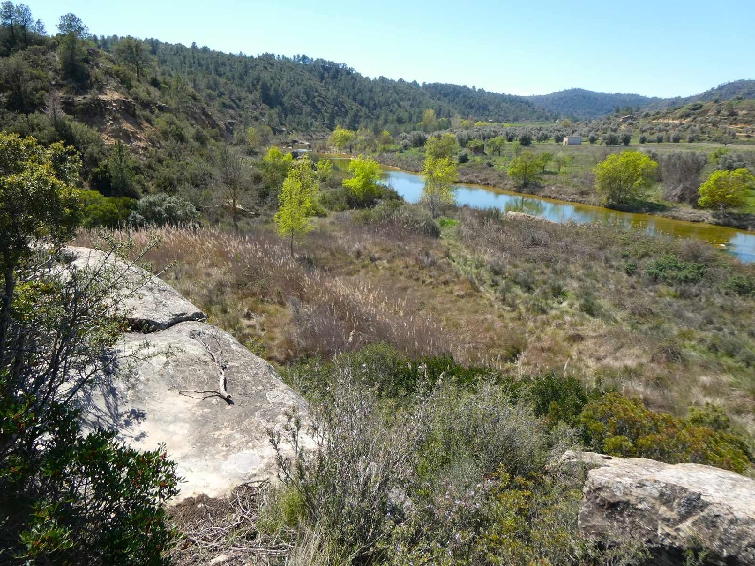  à vendre maison de campagne Caseres Terra Alta 6