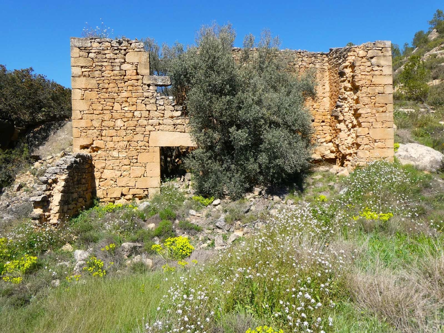  à vendre maison de campagne Caseres Terra Alta 13