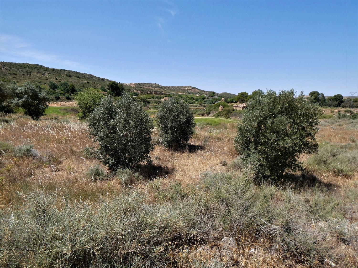  à vendre maison de campagne Caspe Bajo Aragón-Caspe 3