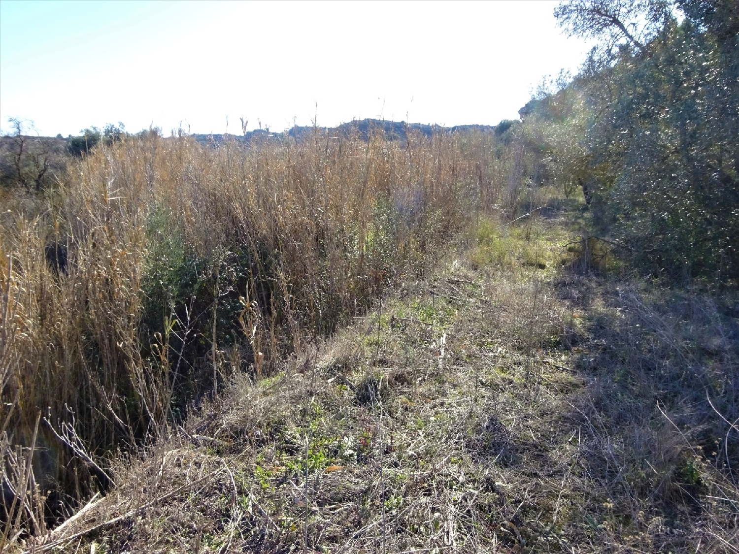  à vendre maison de campagne Caspe Bajo Aragón-Caspe 15