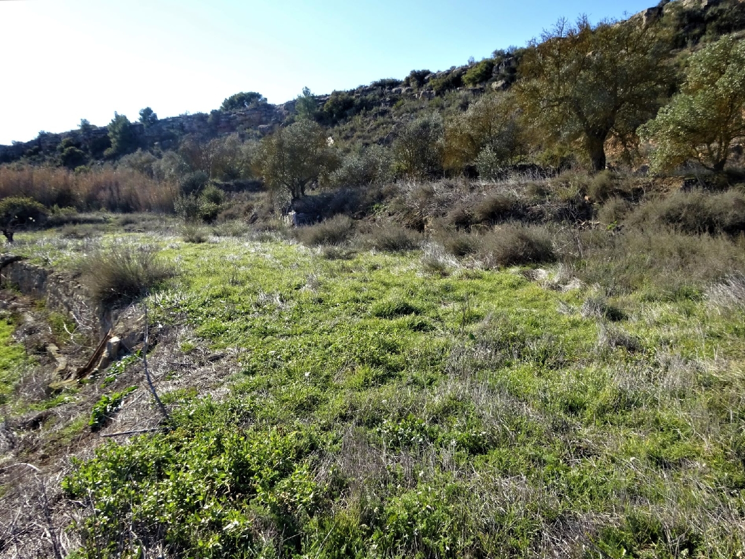  à vendre maison de campagne Caspe Bajo Aragón-Caspe 14