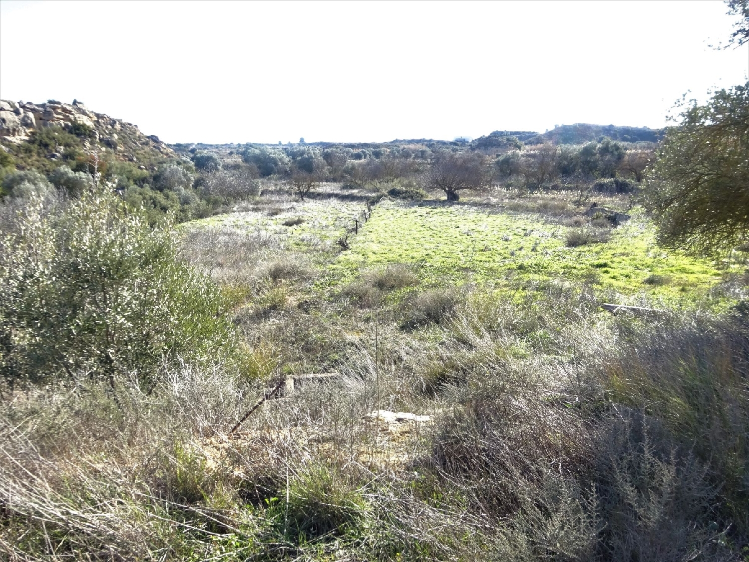  à vendre maison de campagne Caspe Bajo Aragón-Caspe 9