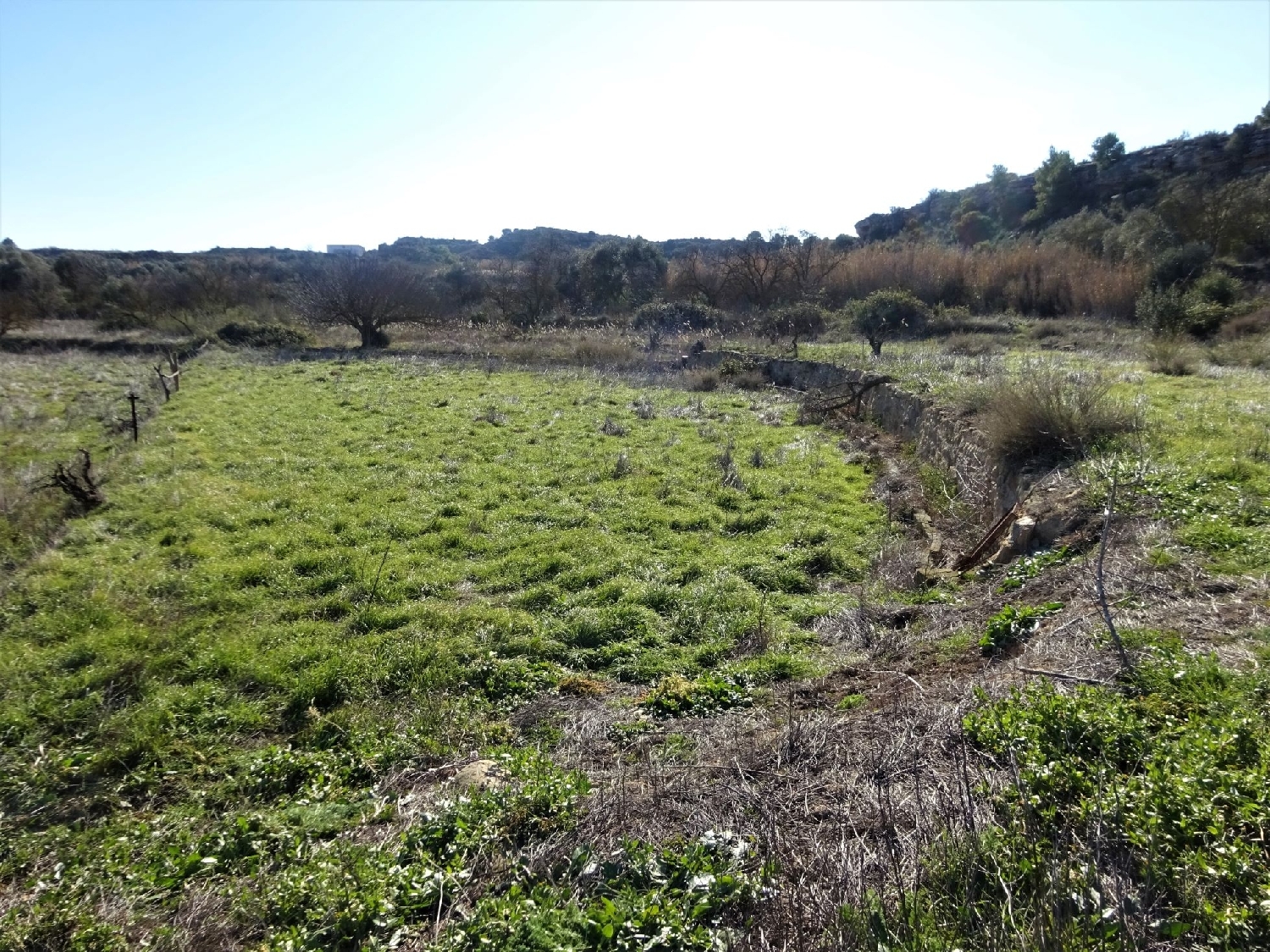  à vendre maison de campagne Caspe Bajo Aragón-Caspe 13