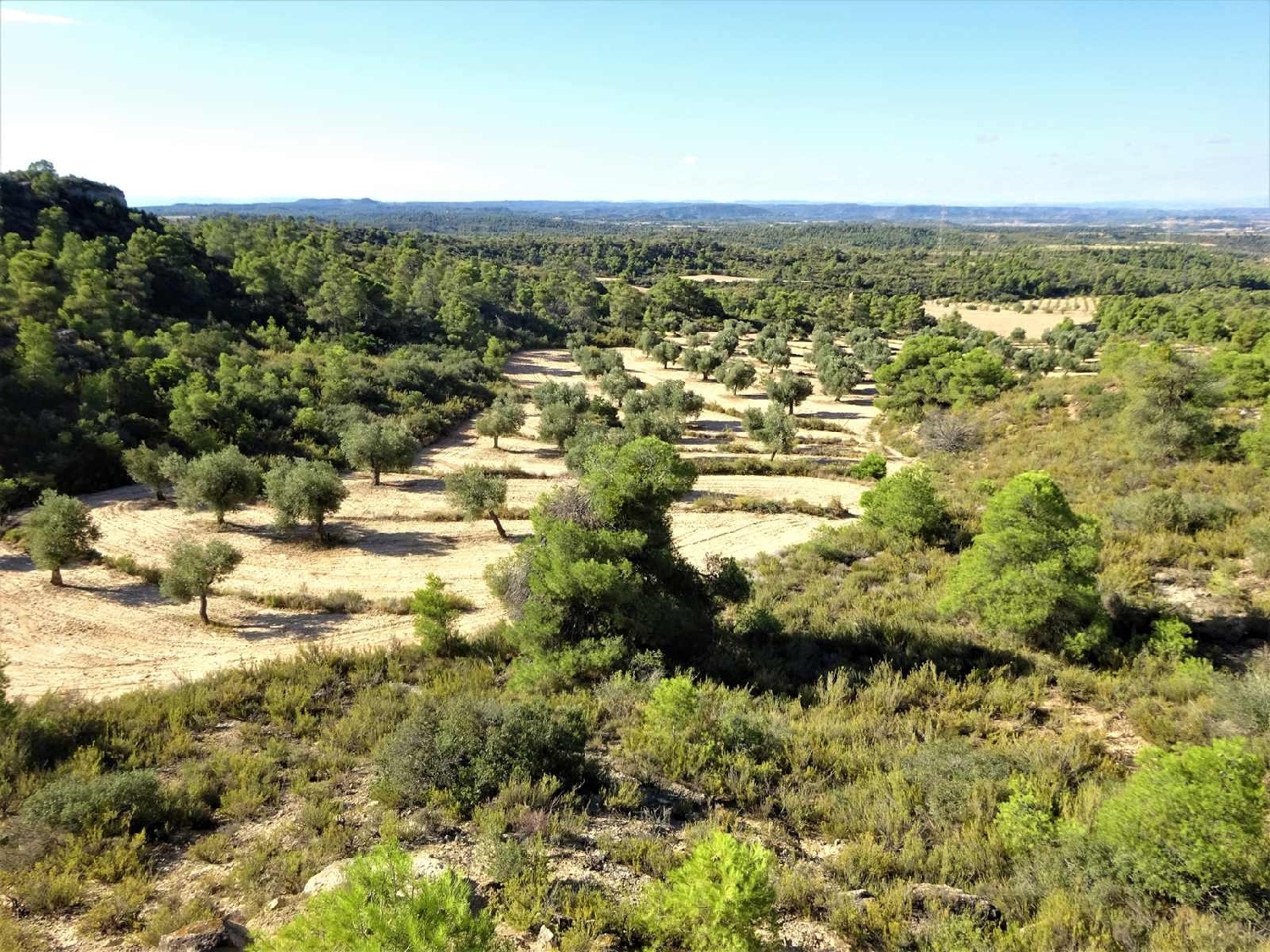  à vendre maison de campagne Caspe Bajo Aragón-Caspe 4