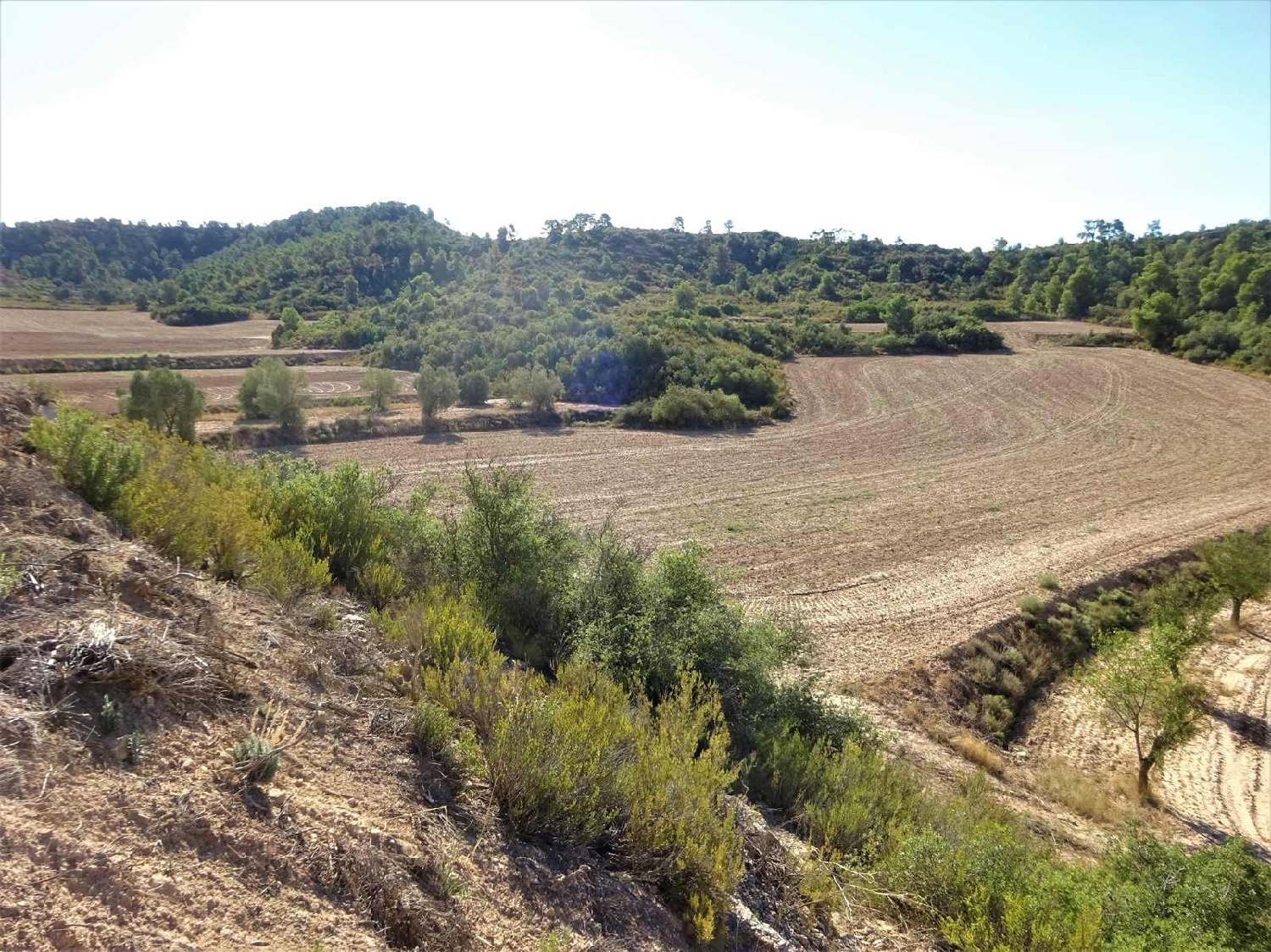  à vendre maison de campagne Caspe Bajo Aragón-Caspe 9
