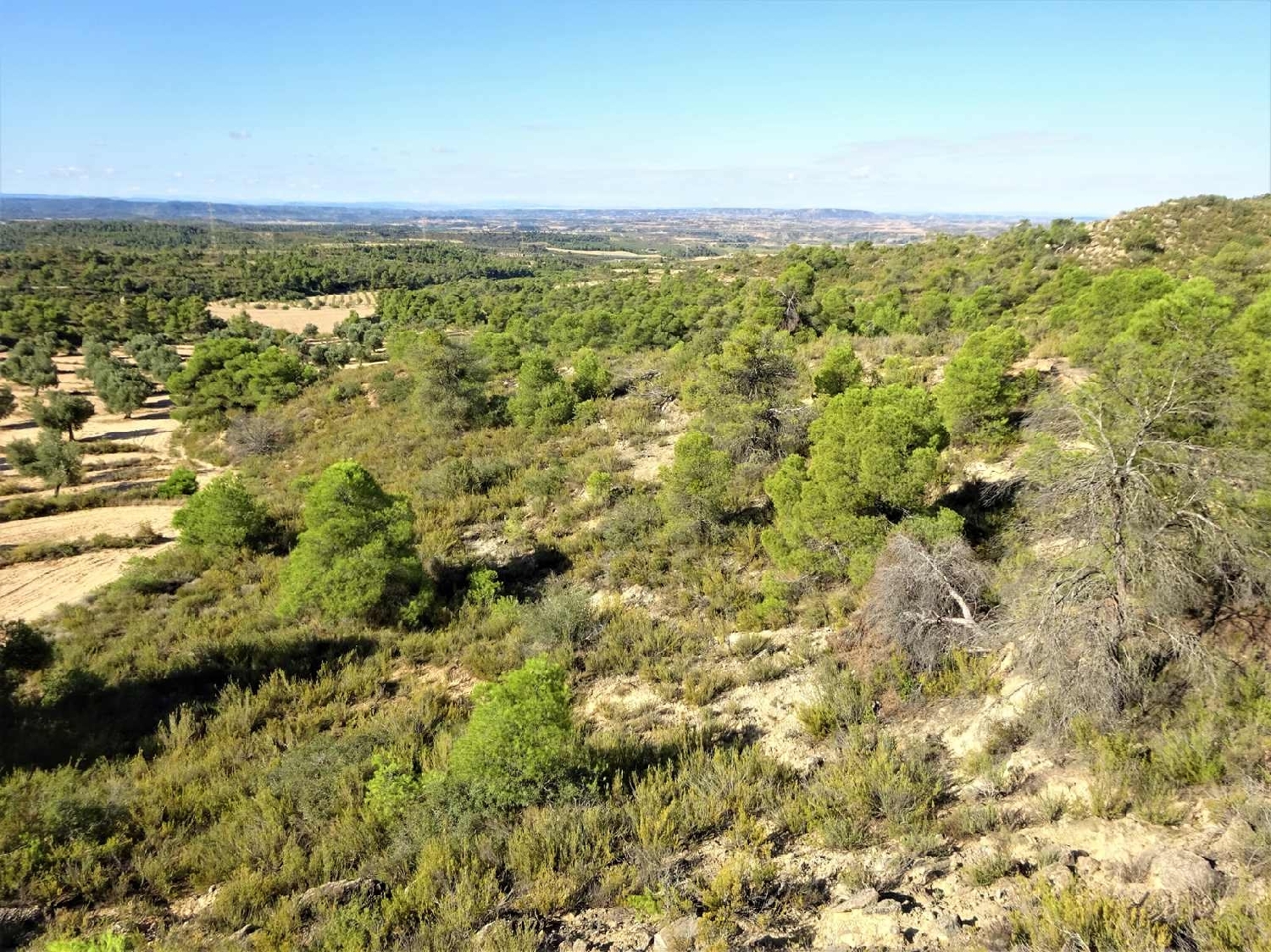  à vendre maison de campagne Caspe Bajo Aragón-Caspe 5