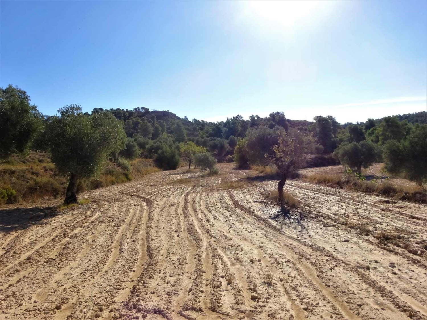 à vendre maison de campagne Caspe Bajo Aragón-Caspe 3
