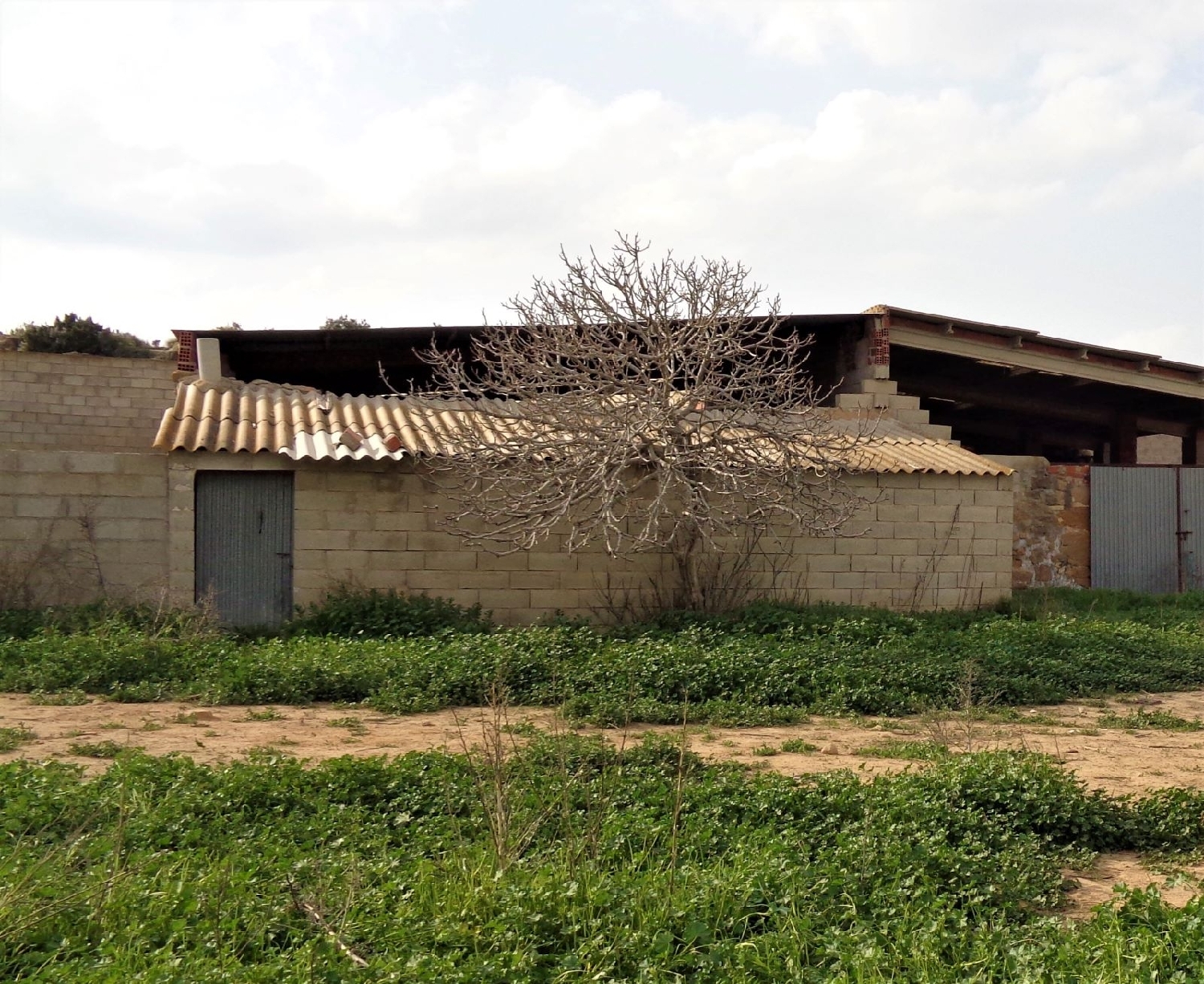 à vendre maison de campagne Caspe Bajo Aragón-Caspe 9