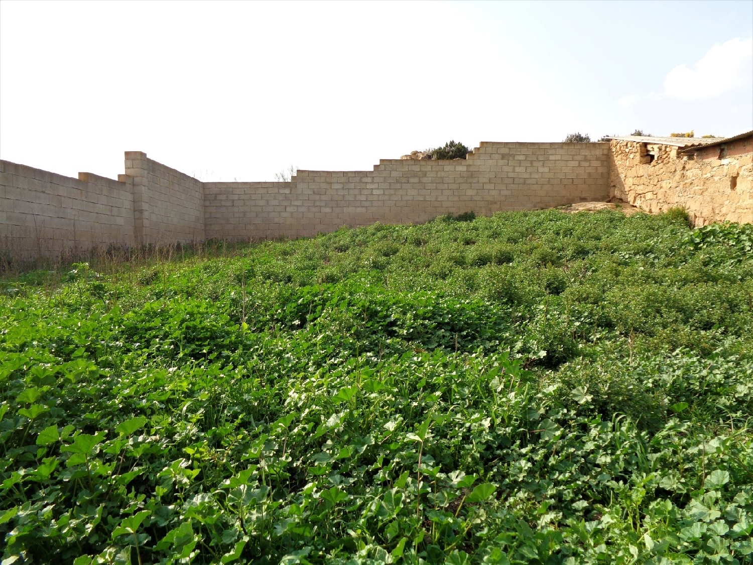  à vendre maison de campagne Caspe Bajo Aragón-Caspe 4