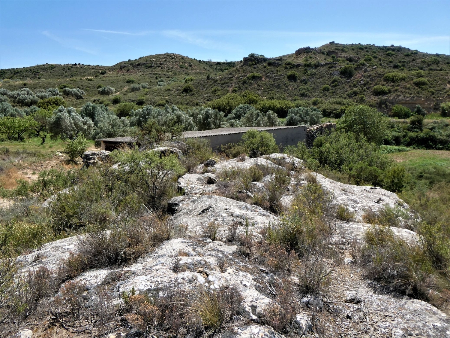  kaufen Landhaus Caspe Bajo Aragón-Caspe 8
