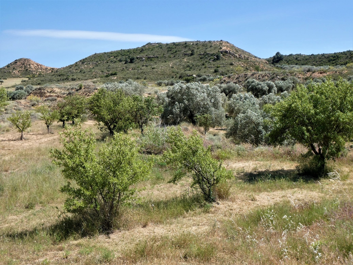  kaufen Landhaus Caspe Bajo Aragón-Caspe 7