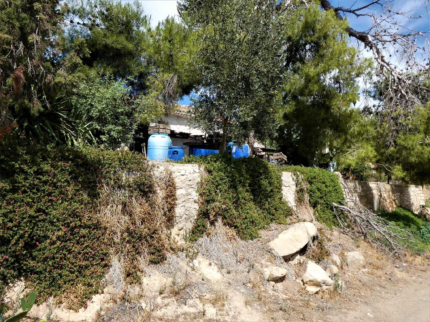  kaufen Landhaus Caspe Bajo Aragón-Caspe 13