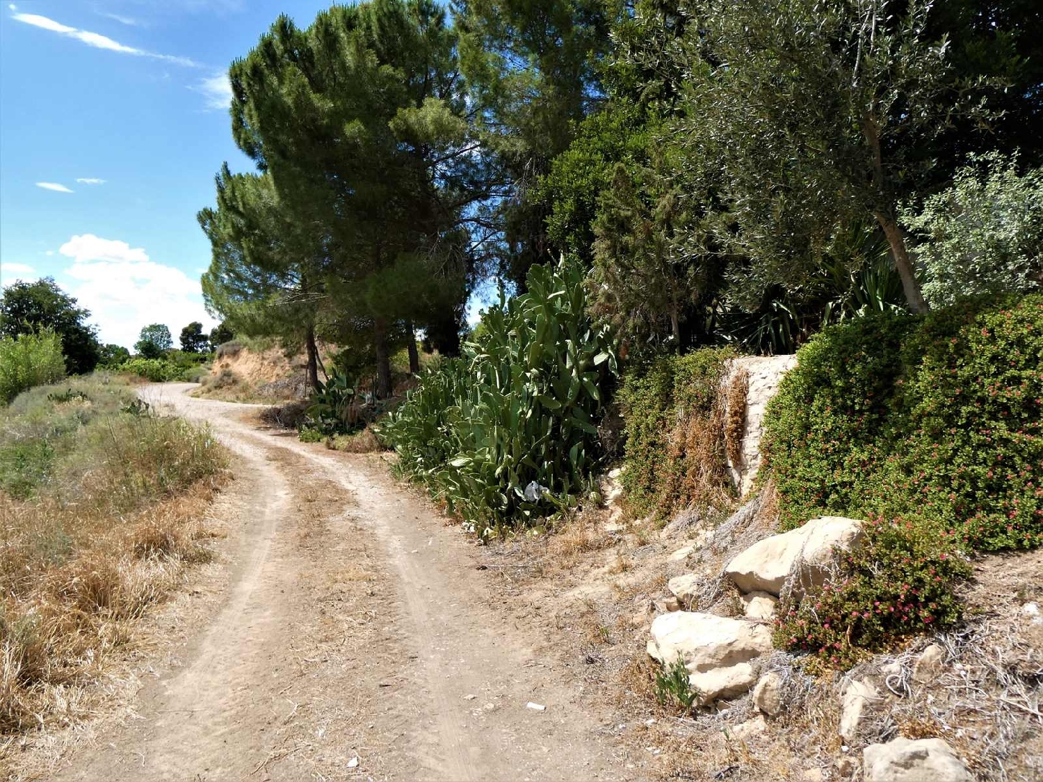  kaufen Landhaus Caspe Bajo Aragón-Caspe 14