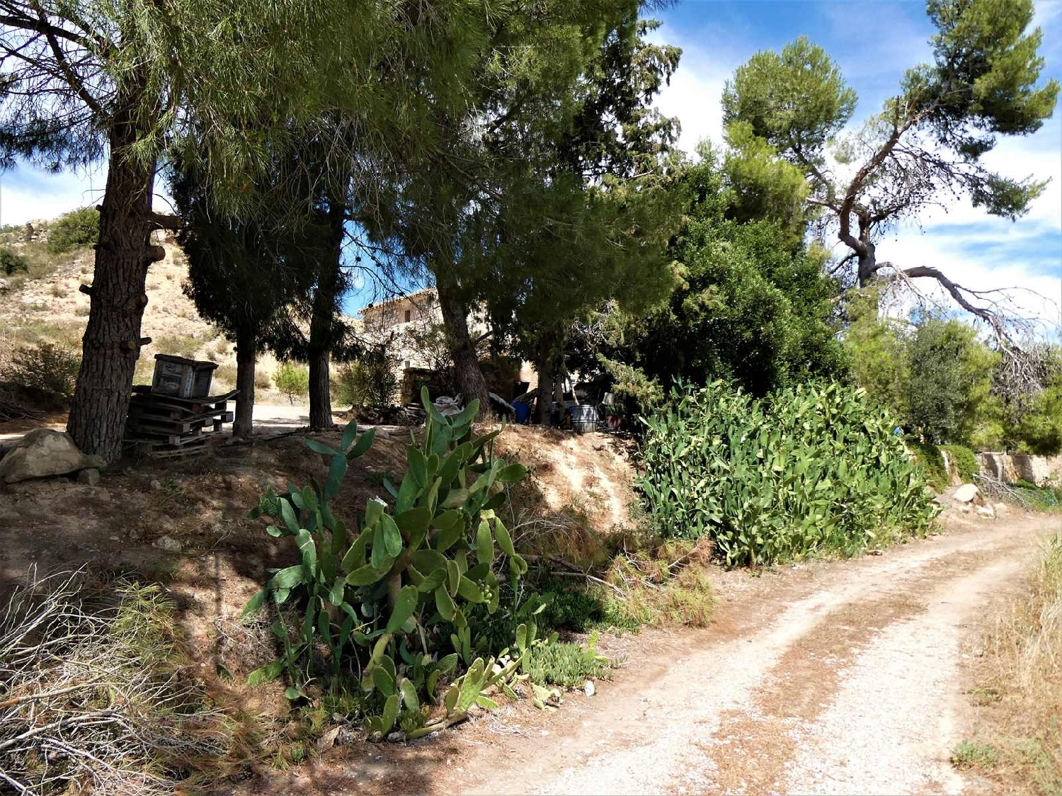  kaufen Landhaus Caspe Bajo Aragón-Caspe 11
