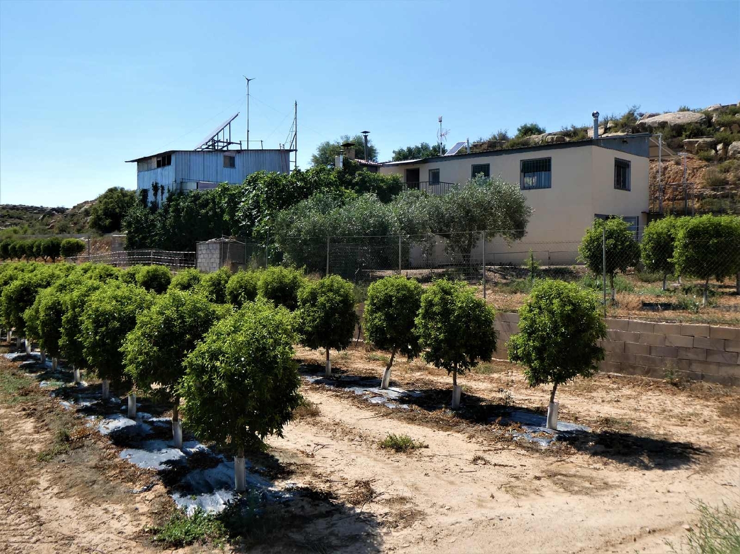  kaufen Landhaus Caspe Bajo Aragón-Caspe 1