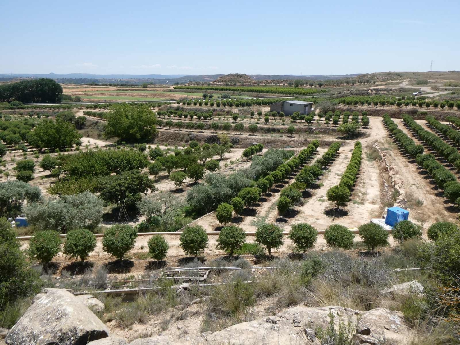  kaufen Landhaus Caspe Bajo Aragón-Caspe 5