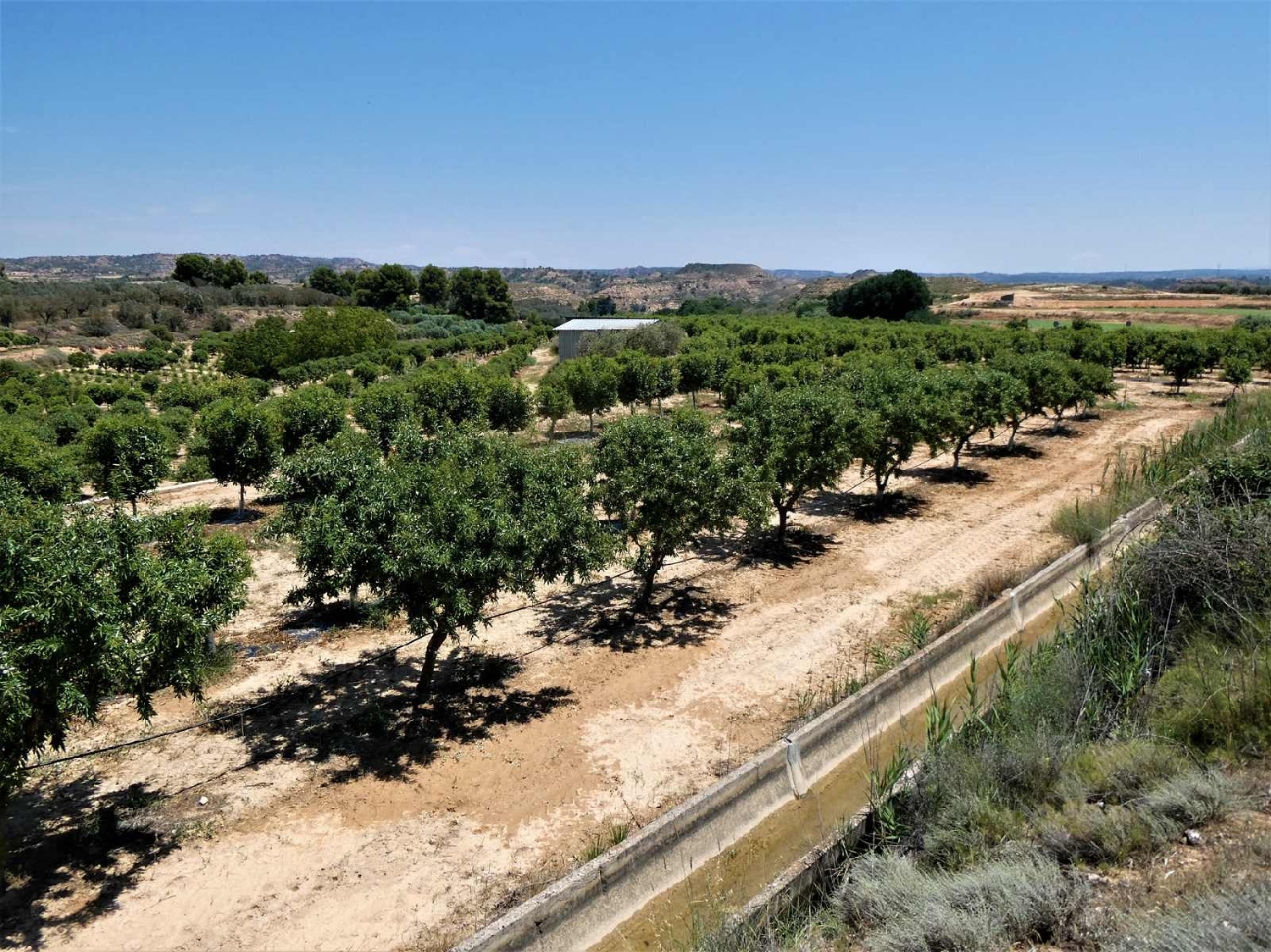  kaufen Landhaus Caspe Bajo Aragón-Caspe 3