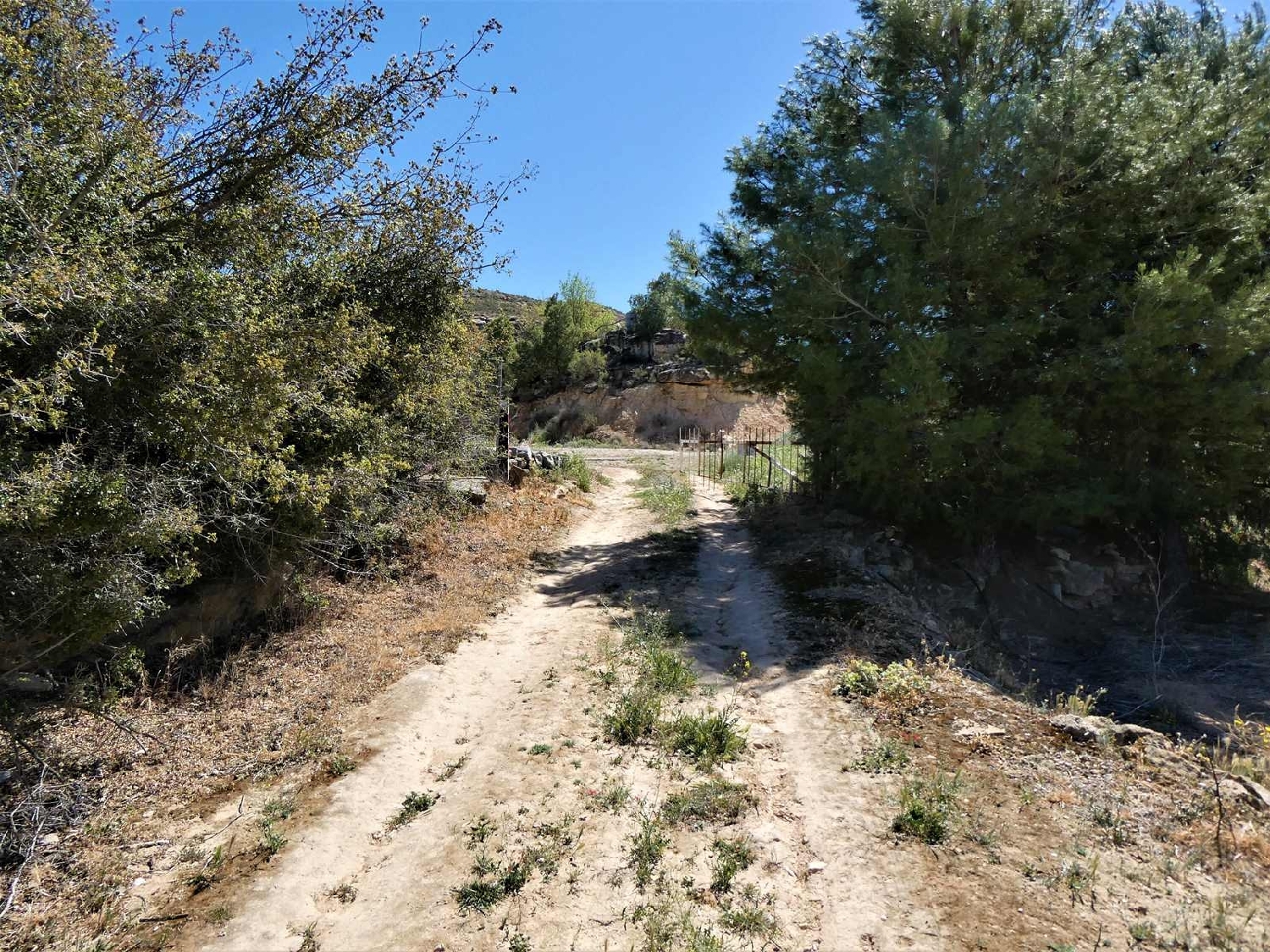  à vendre maison de campagne Caspe Bajo Aragón-Caspe 14