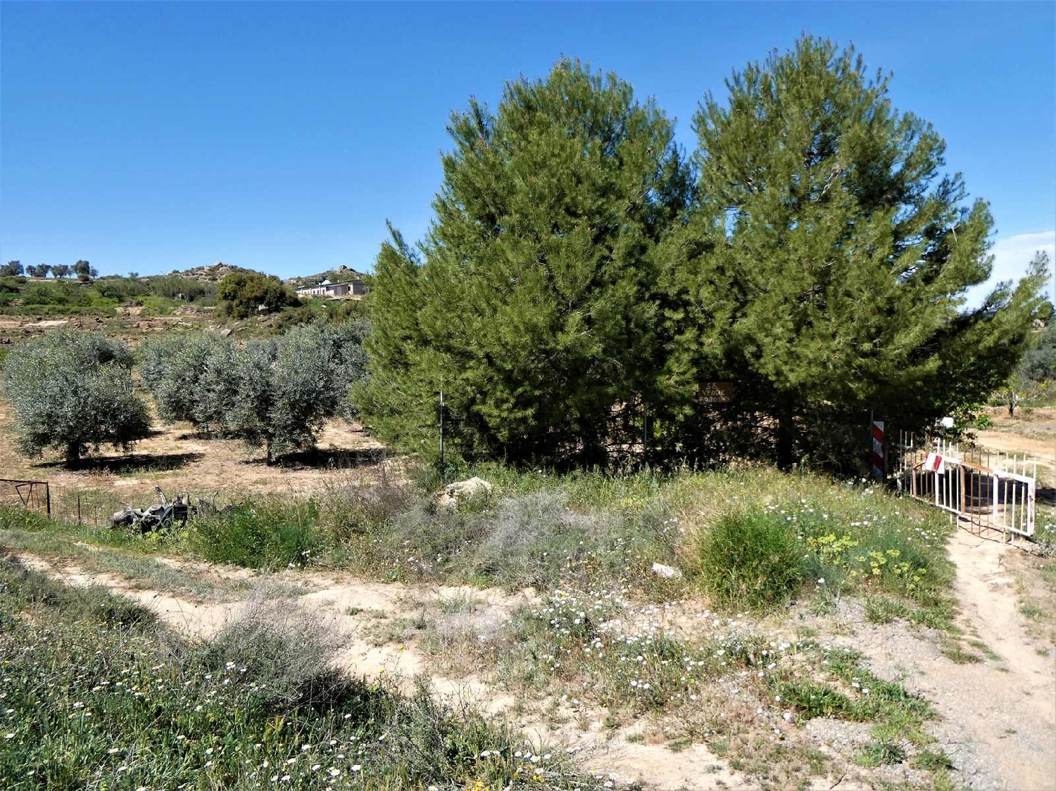  à vendre maison de campagne Caspe Bajo Aragón-Caspe 12