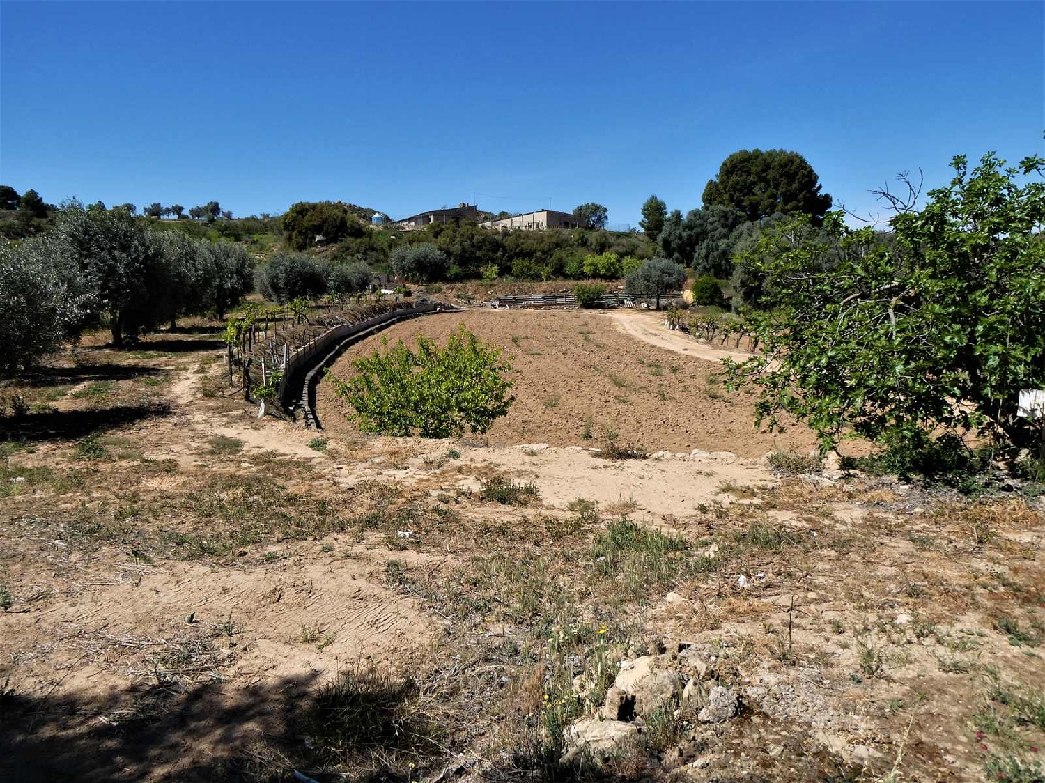  à vendre maison de campagne Caspe Bajo Aragón-Caspe 15