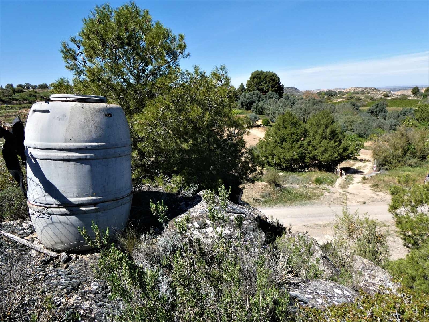  à vendre maison de campagne Caspe Bajo Aragón-Caspe 11
