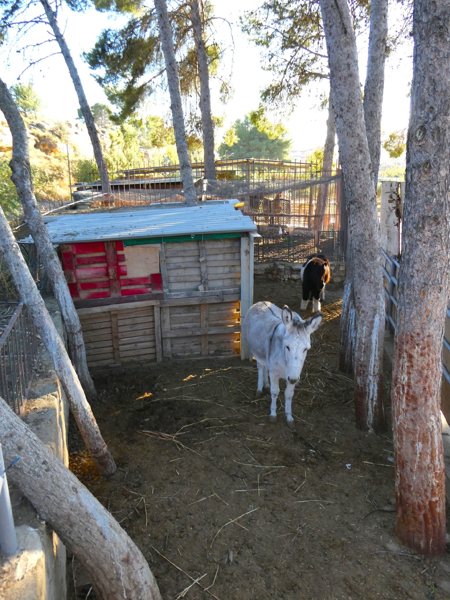  à vendre maison de campagne Caspe Bajo Aragón-Caspe 5