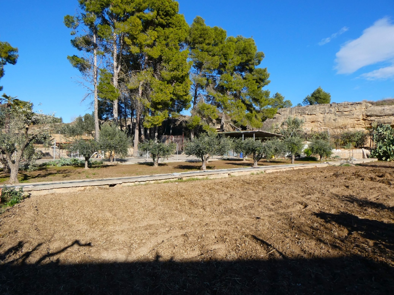  à vendre maison de campagne Caspe Bajo Aragón-Caspe 12