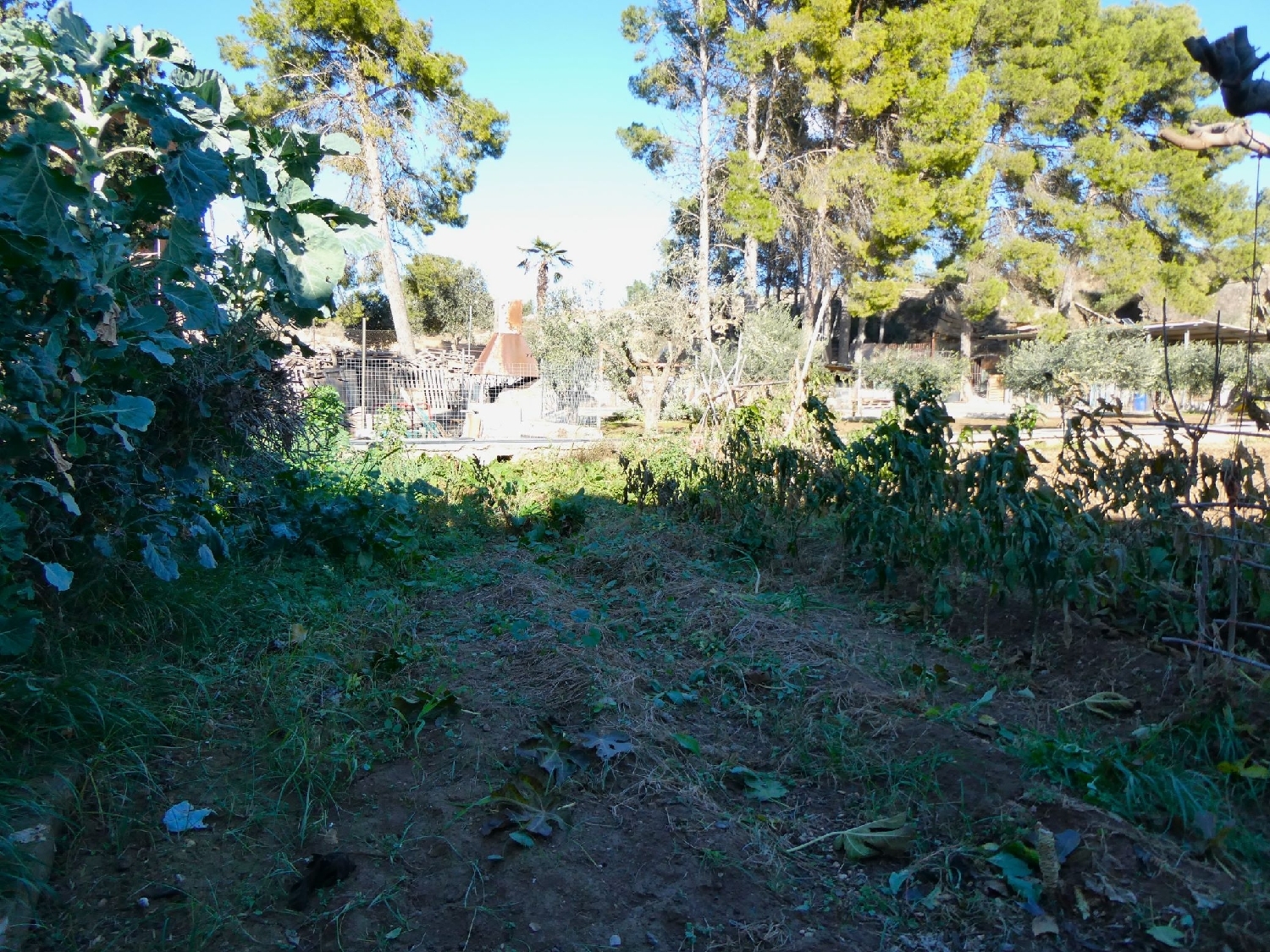  à vendre maison de campagne Caspe Bajo Aragón-Caspe 11