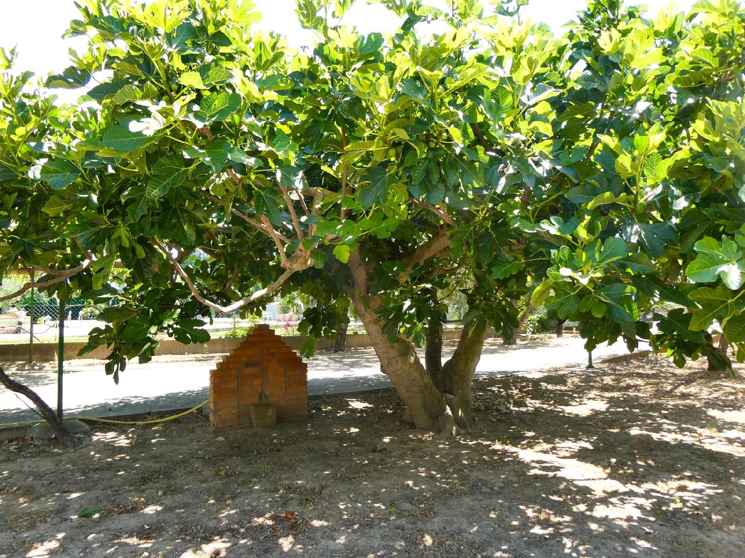  à vendre maison de campagne Caspe Bajo Aragón-Caspe 7