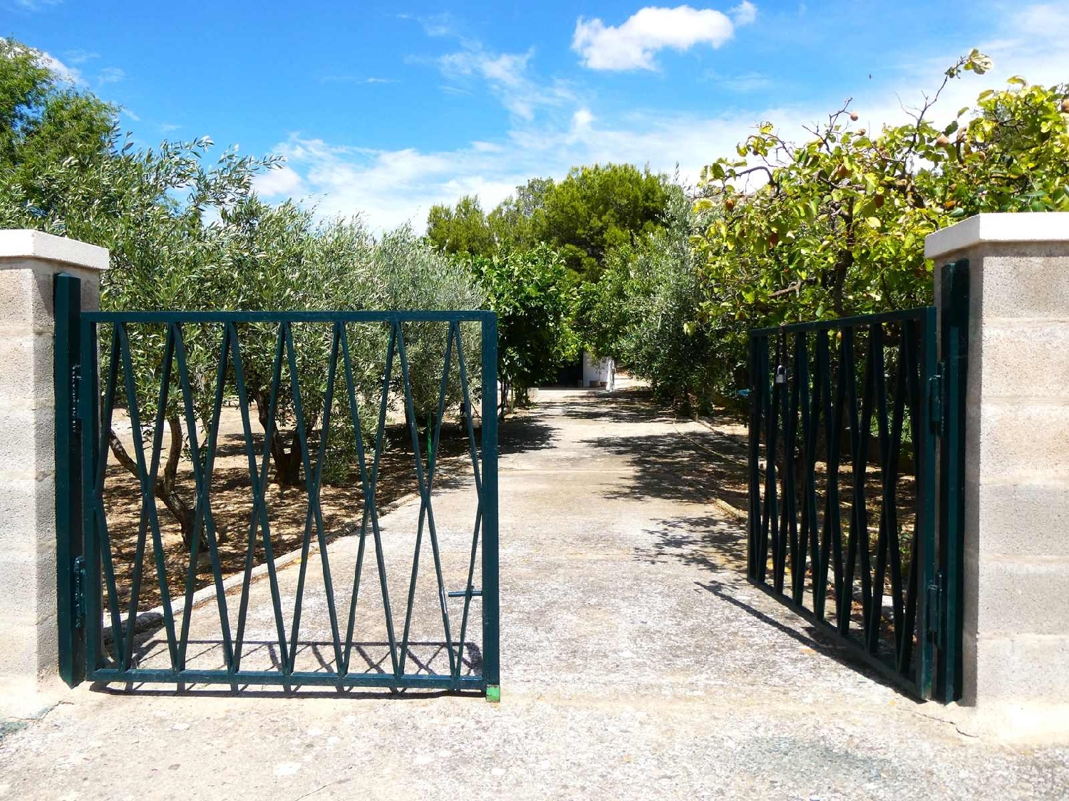  à vendre maison de campagne Caspe Bajo Aragón-Caspe 3