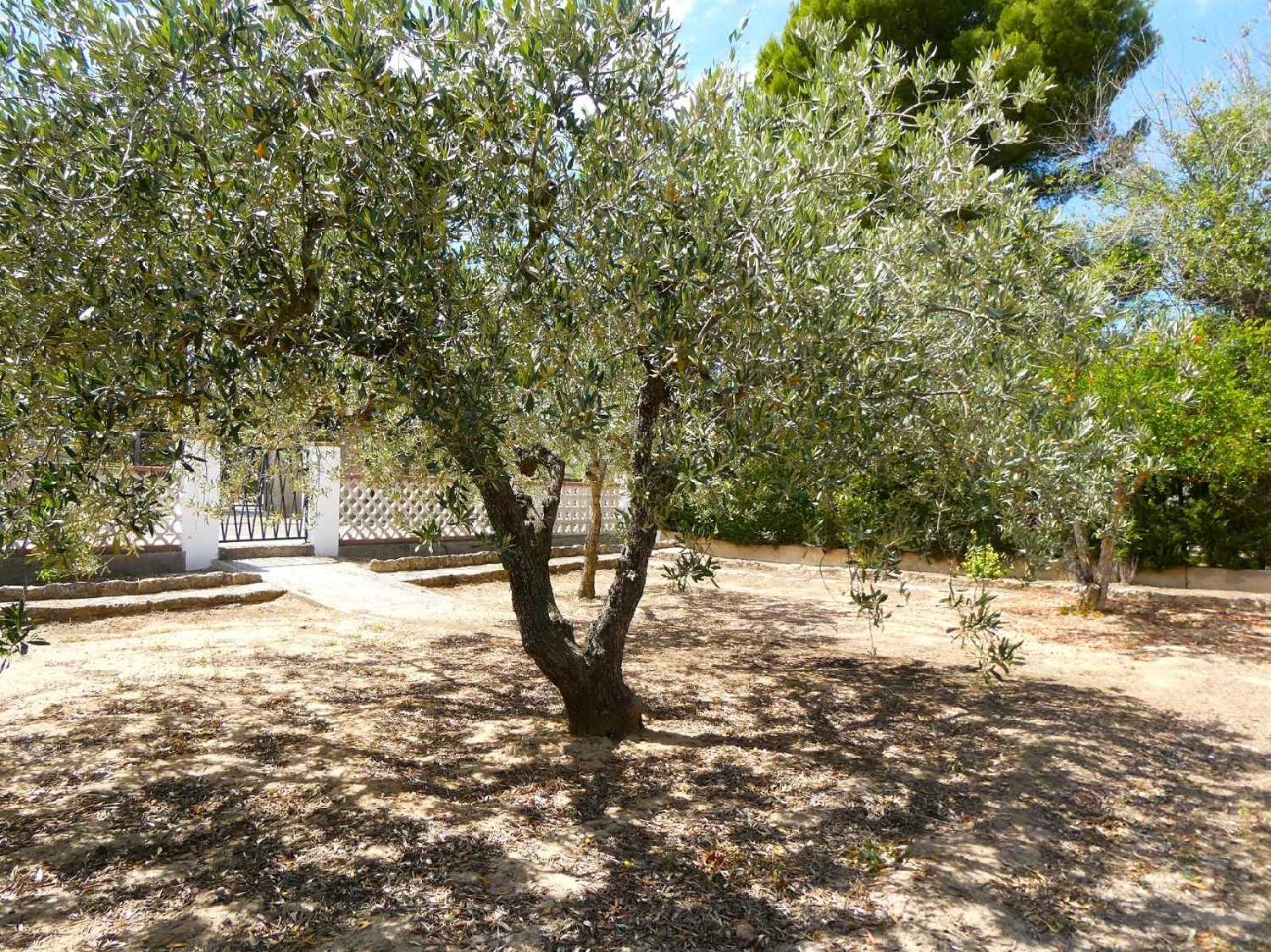  à vendre maison de campagne Caspe Bajo Aragón-Caspe 5