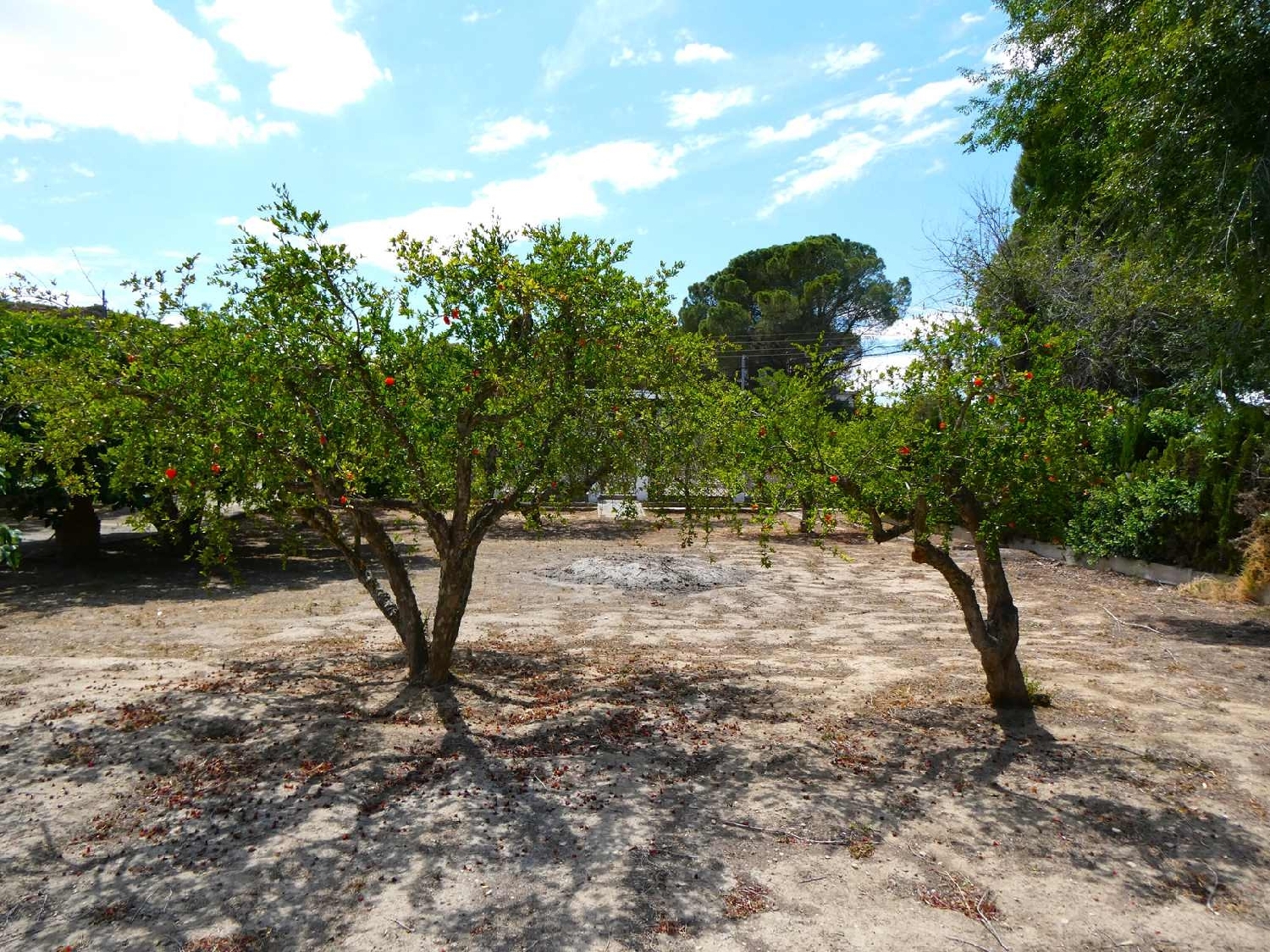  à vendre maison de campagne Caspe Bajo Aragón-Caspe 6