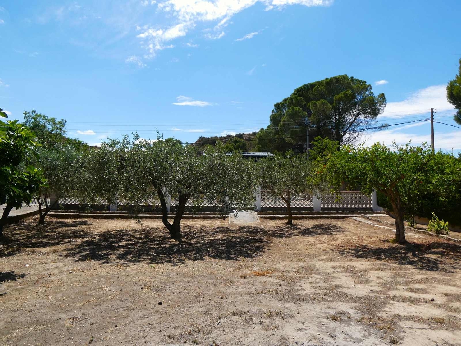  à vendre maison de campagne Caspe Bajo Aragón-Caspe 8
