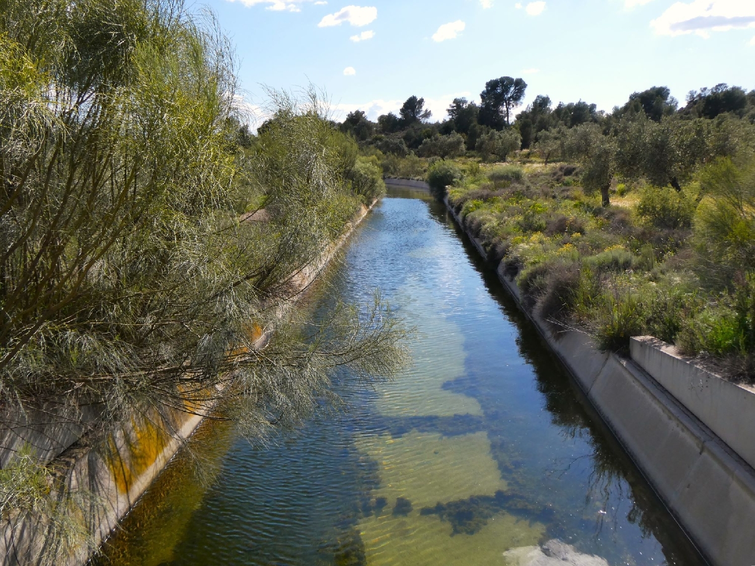  à vendre maison de campagne Caspe Bajo Aragón-Caspe 15