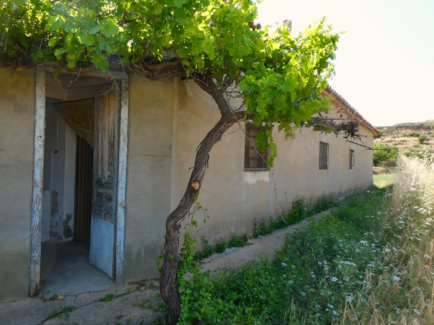  à vendre maison de campagne Caspe Bajo Aragón-Caspe 7