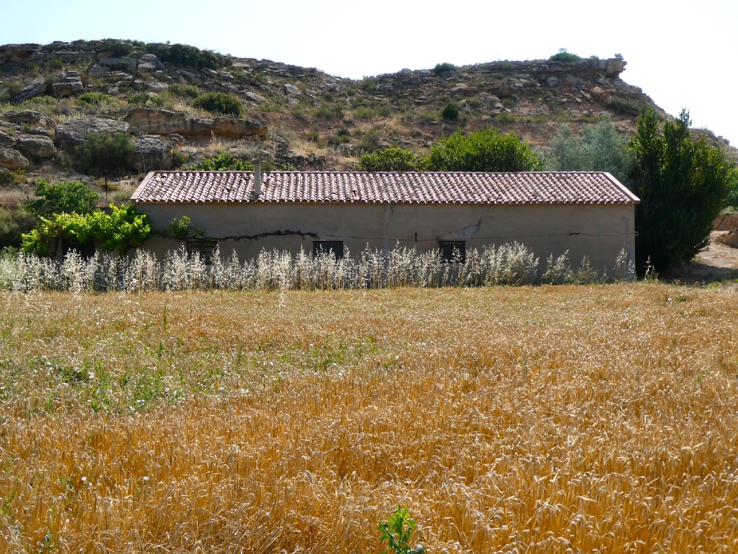  à vendre maison de campagne Caspe Bajo Aragón-Caspe 6