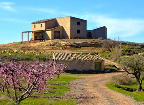 Caspe Bajo Aragón-Caspe Landhaus Bild 6271186