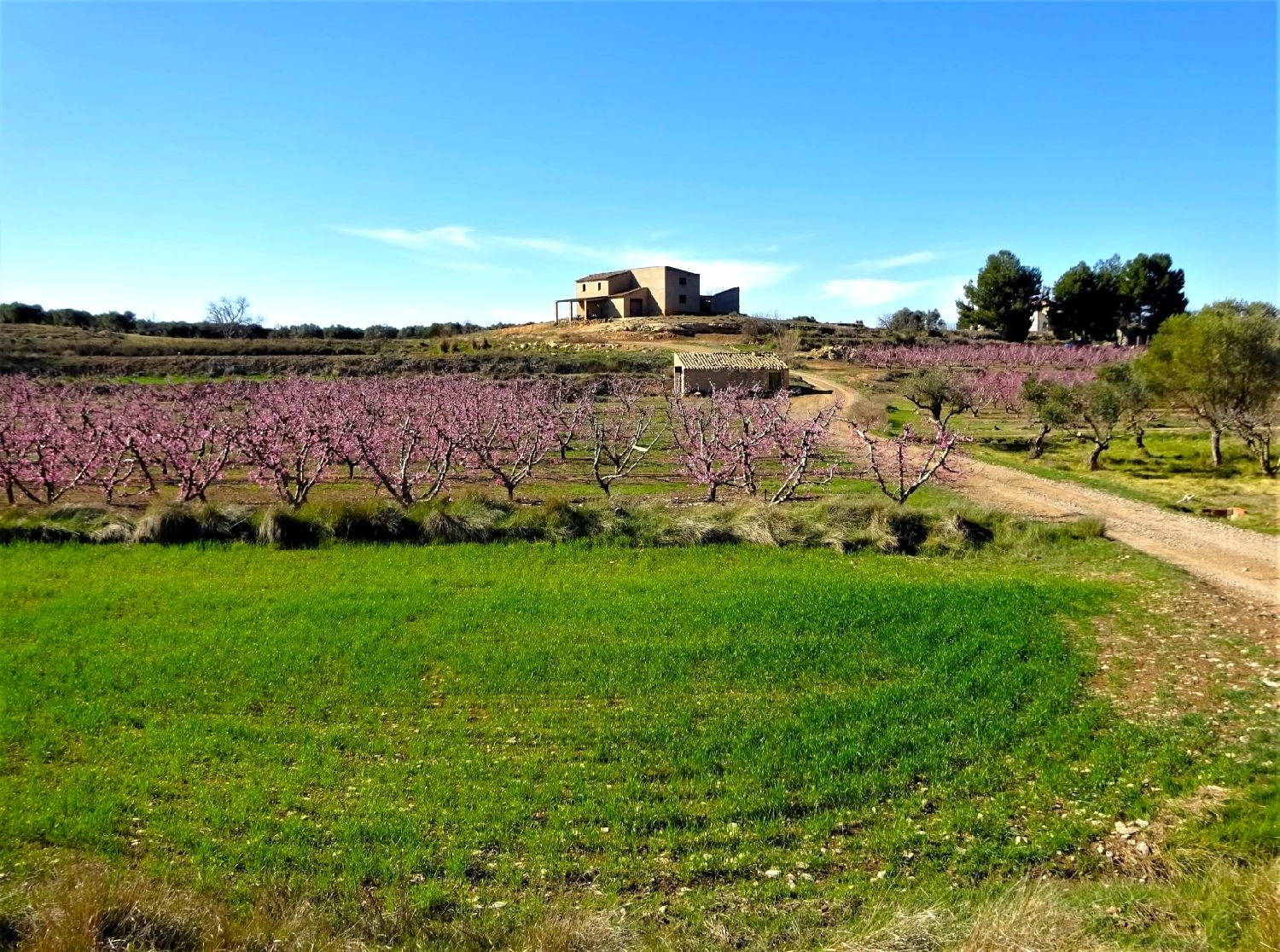  à vendre maison de campagne Caspe Bajo Aragón-Caspe 3
