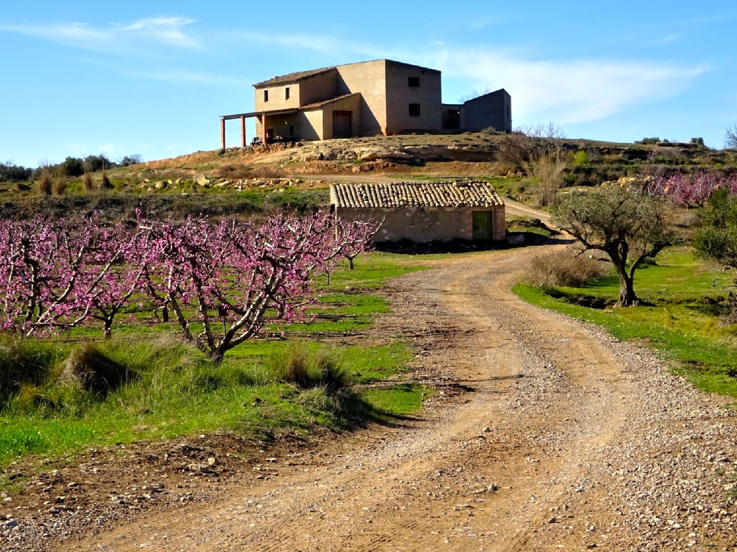  à vendre maison de campagne Caspe Bajo Aragón-Caspe 4