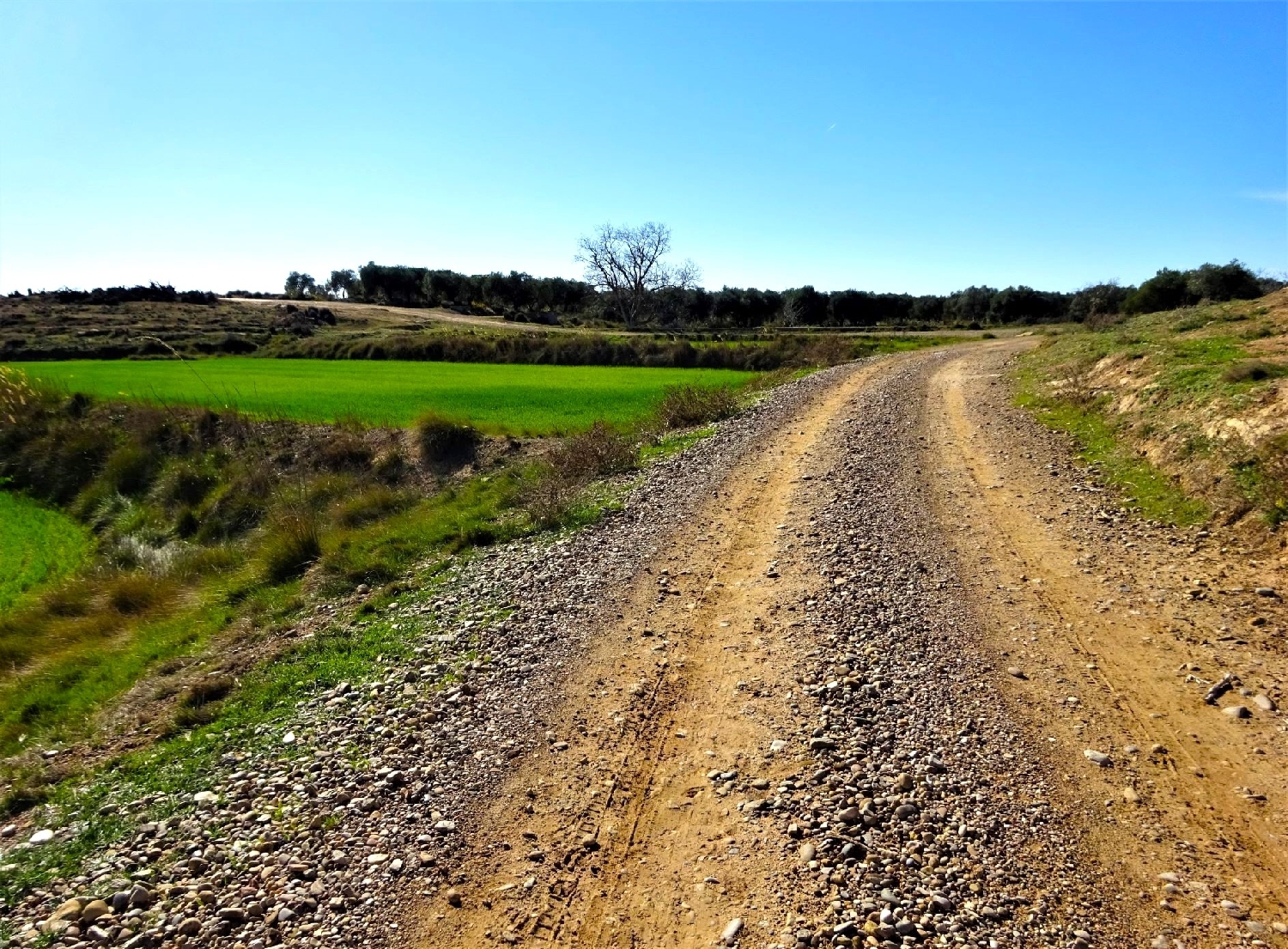  à vendre maison de campagne Caspe Bajo Aragón-Caspe 5