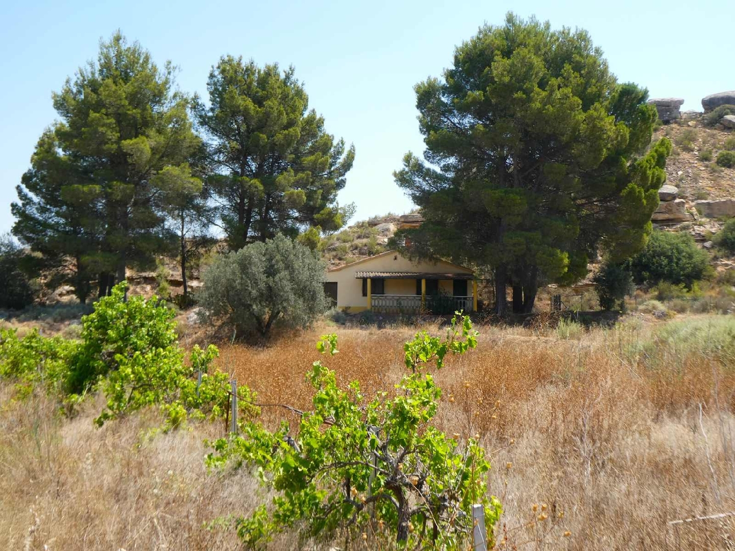  à vendre maison de campagne Caspe Bajo Aragón-Caspe 4