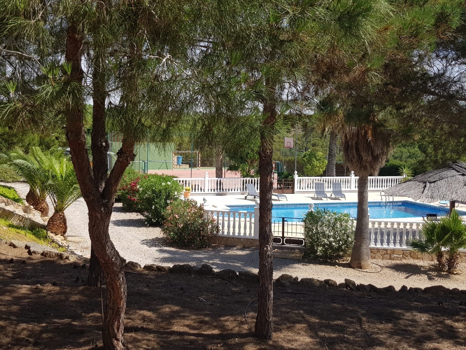  à vendre maison de campagne Castrillo De Murcia Odra-Pisuerga 4