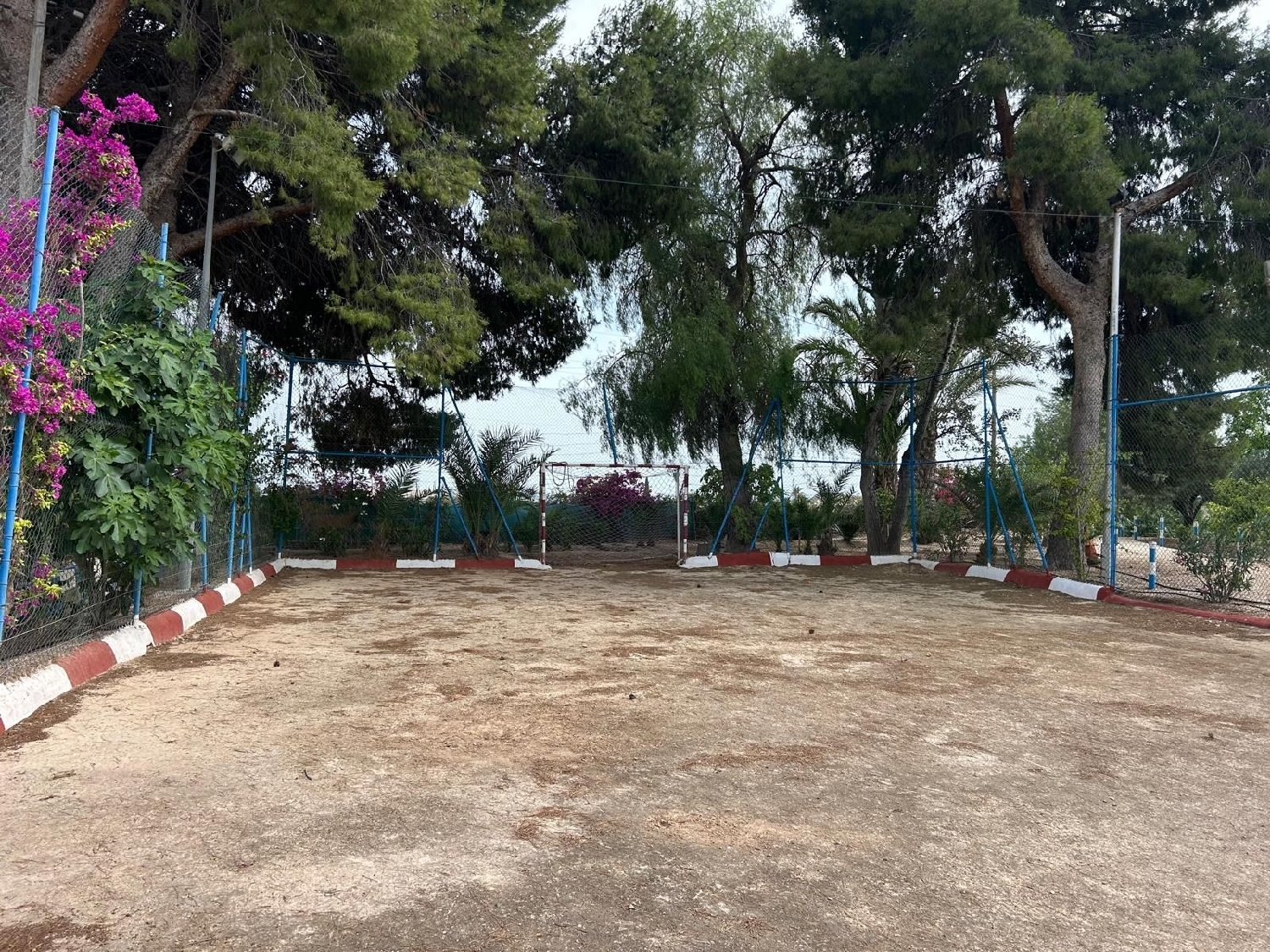  à vendre maison de campagne Crevillent Baix Vinalopó 4